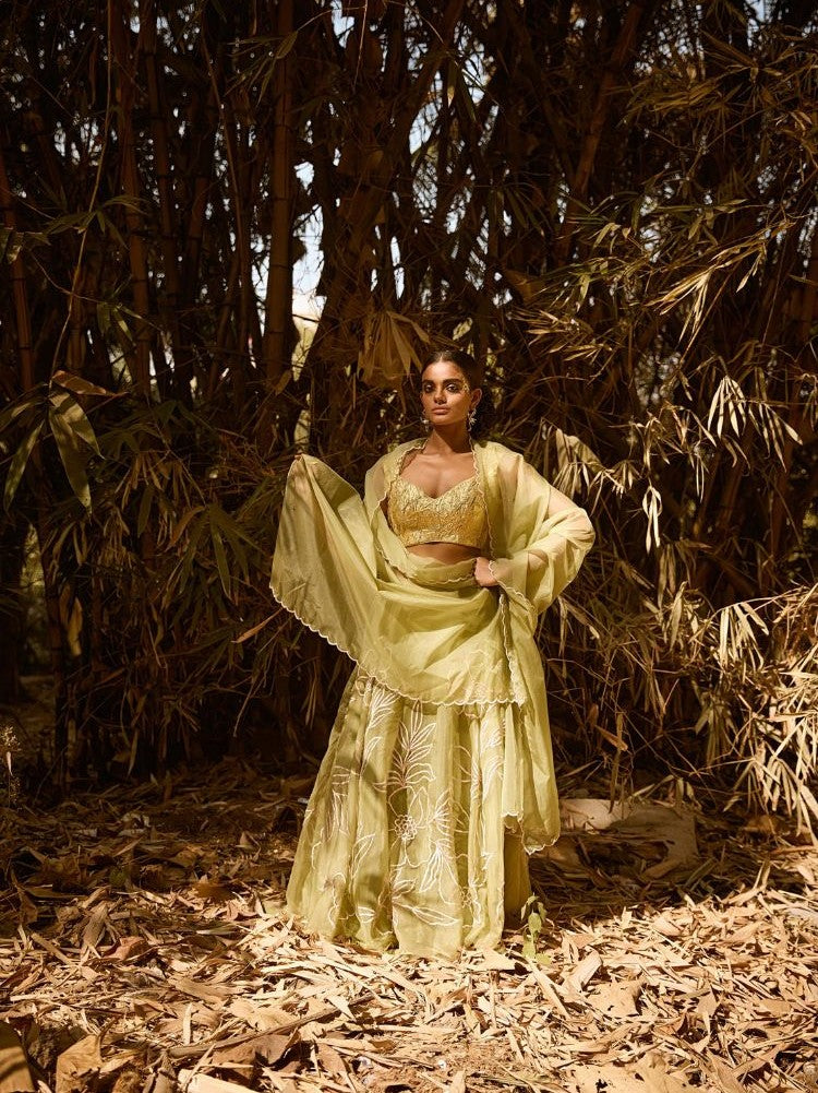 Swara - Lehenga set