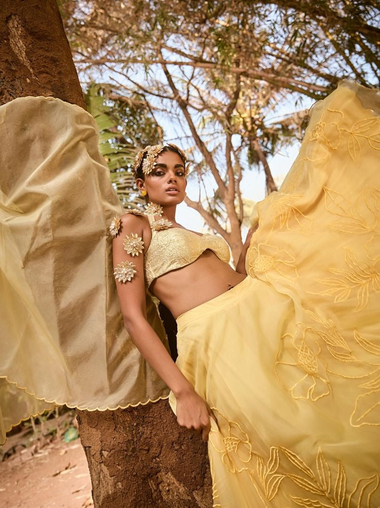 Swara - Lehenga set