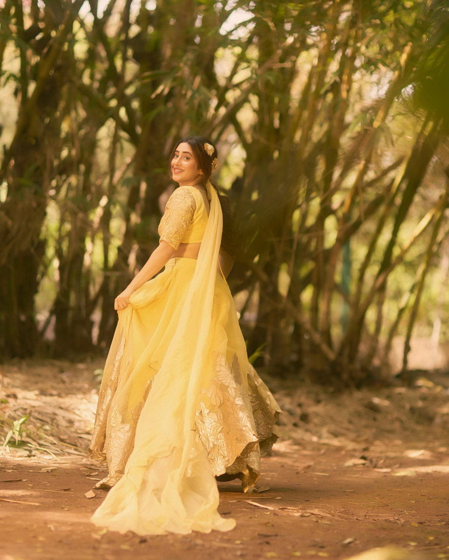 Rutu - Lehenga set